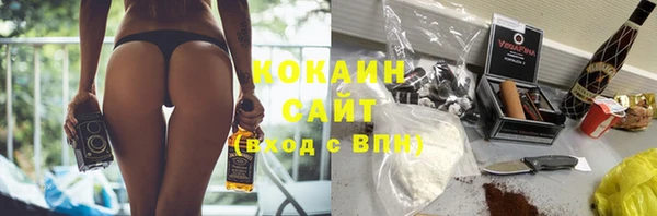 прущий лед Новозыбков