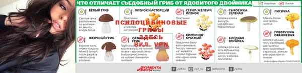 экстази Новодвинск