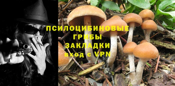 экстази Новодвинск