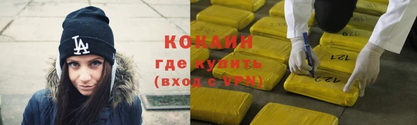прущий лед Новозыбков
