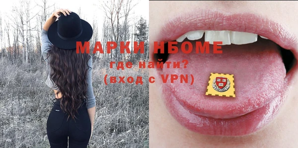 прущий лед Новозыбков