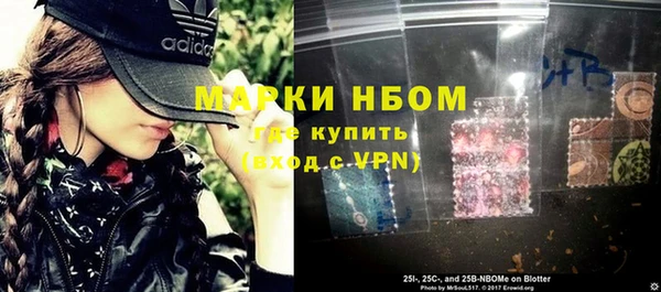 прущий лед Новозыбков