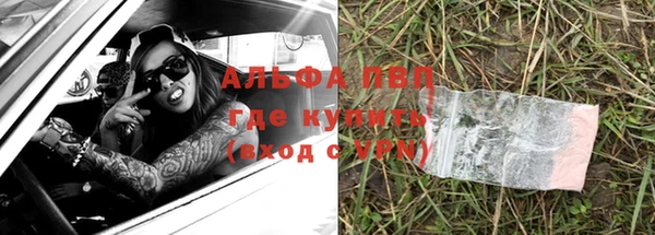 прущий лед Новозыбков