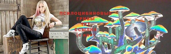 экстази Новодвинск