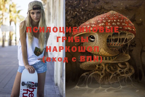 экстази Новодвинск